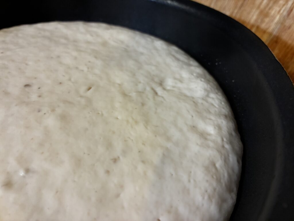 発酵しすぎのパンシワシワ・・・